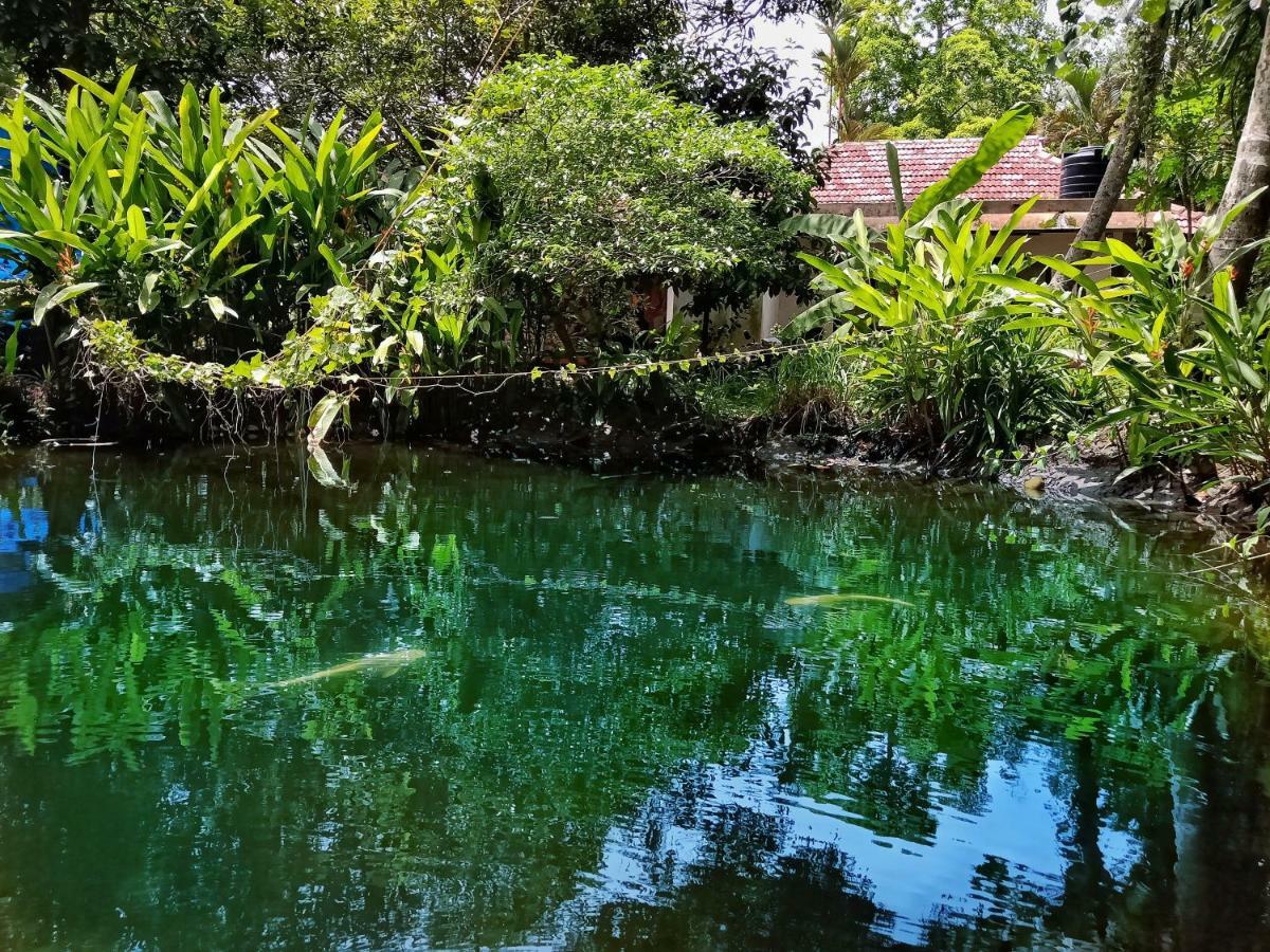 Marari Bethsaida Homestay Shertallai Exterior foto